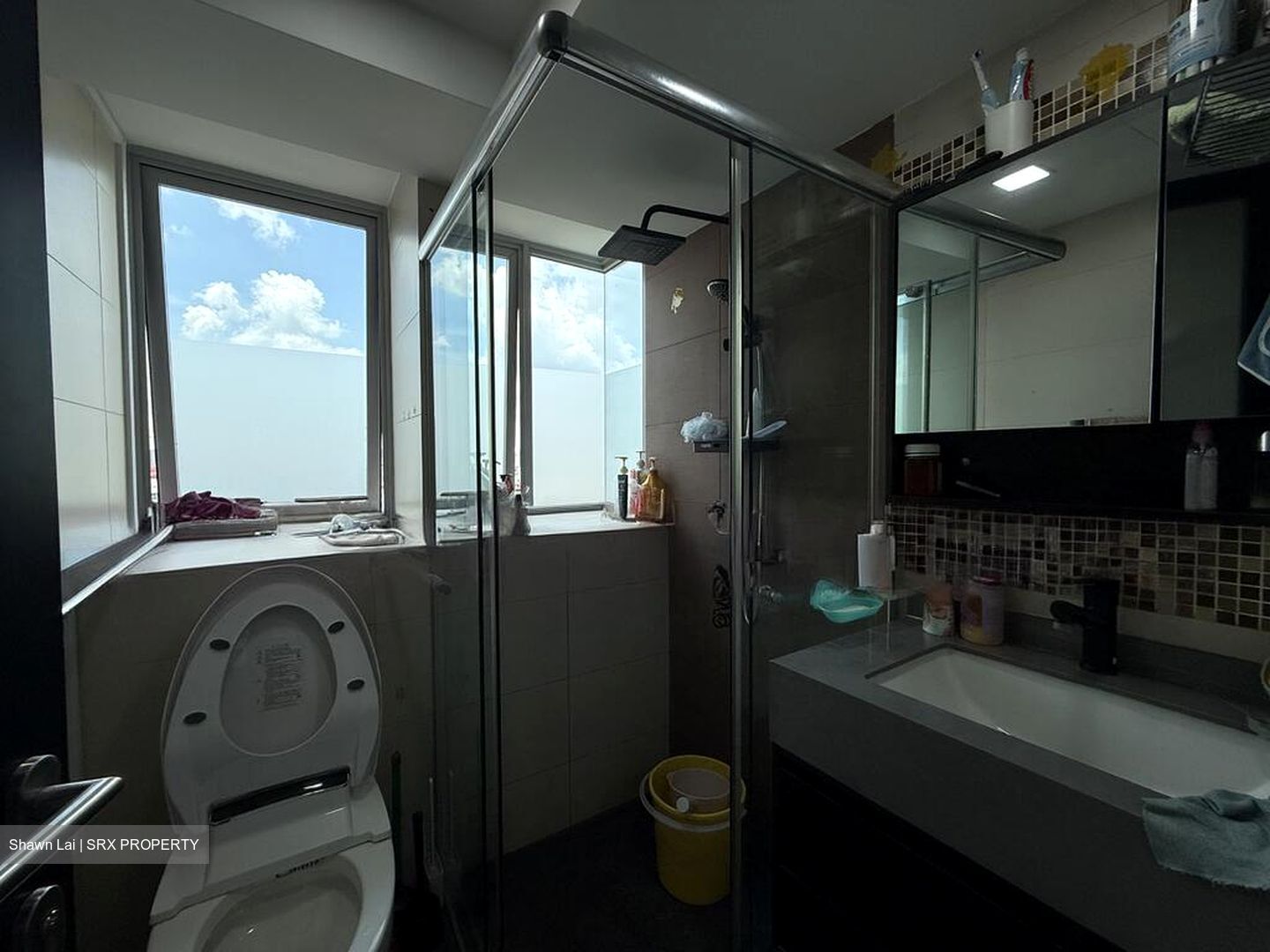 Esta Ruby (D14), Apartment #502966821